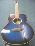 Martinez Acoustic Electric Guitar