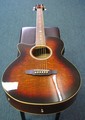 Martinez Acoustic Electric Guitar