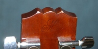 MFC23sbu