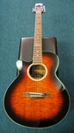 Martinez Acoustic Electric Guitar