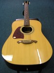 Martinez Acoustic Guitar