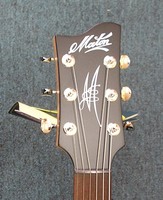 MS500TGC