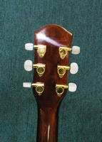 MSC3T