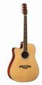 Martinez MSC4 Acoustic Electric