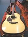 Martinez Acoustic Electric Guitar