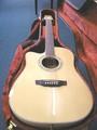 Martinez Acoustic Electric Guitar