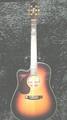 Maton 