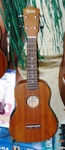 Monterey Concert size Ukulele with pickup