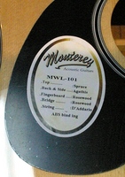 MW101