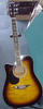Martinez Acoustic Electric Guitar