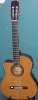 Martinez Classical Electric Guitar