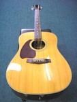 Ibanez Acoustic Guitar