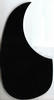 Acoustic Pick Guard