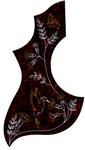 Acoustic Pick Guard