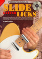 Progressive Slide Guitar Licks