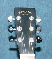 SDM2