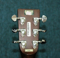SDM2