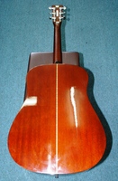 SDM2