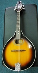 Johnson Mandolin