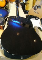 SW203