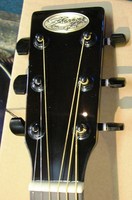 SW203