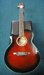 Essex (SX) Small bodied Acoustic/Electric Guitar