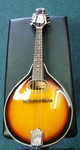 Savannah Mandolin