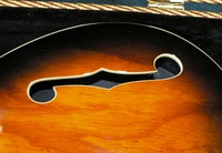 StB61S
