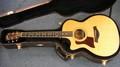Taylor Acoustic Electric Guitar