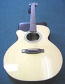 Takamine Acoustic Electric Guitar