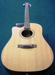 Takamine Acoustic Electric Guitar