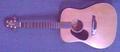 Takemine EN10 Acoustic Electric Guitar