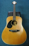 Takamine EN10 Acoustic Electric Guitar