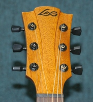 TL66Dc