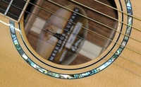 TRC3TL