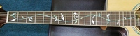 TRC3TL