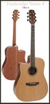 Timberidge Series 4 Acoustic Electric Guitar with case