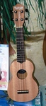 Tanglewood Union Soprano Ukulele