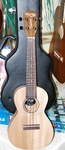 Tanglewood Union Concert Ukulele