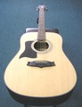 Tanglewood TW28 SNQ