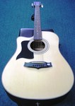 Tanglewood TW 28 CE N