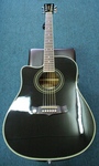 Tanglewood TW 28 CE BK