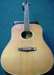 Tanglewood TW 28 CSN