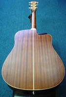 TW28 CSN CE