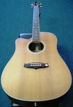 Tanglewood TW28 CSN CE