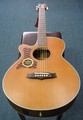 Tanglewood TW45 NS B