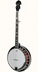 Tanglewood Banjo