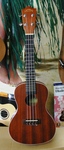 Lanikai LU21C Ukulele