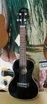 Lanikai LU21CE Ukulele