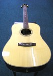 Vester acoustic guitar W300